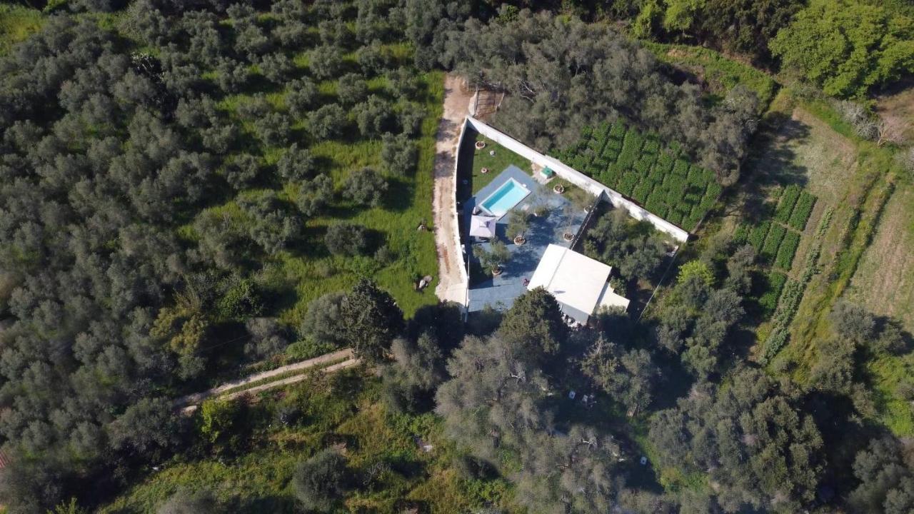 Villa Gardiki For2 Halikounas Exteriör bild